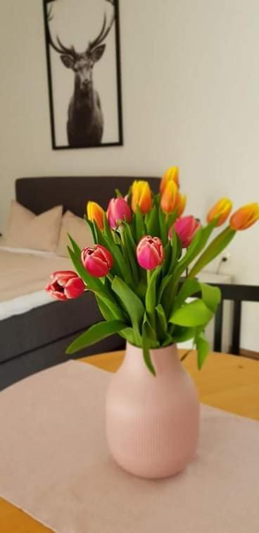 בודנסדורף Kozma Apartments Peterlewand Gerlitzen Ossiachersee מראה חיצוני תמונה